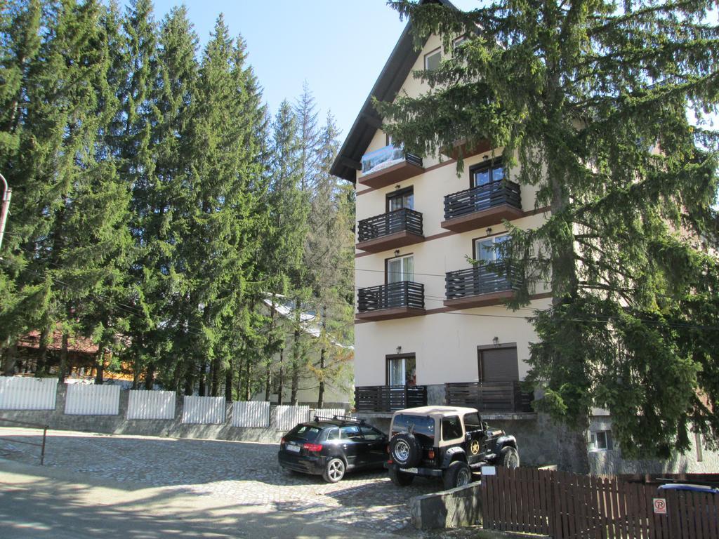 Cioplea Residenz Apartment Предеал Екстериор снимка